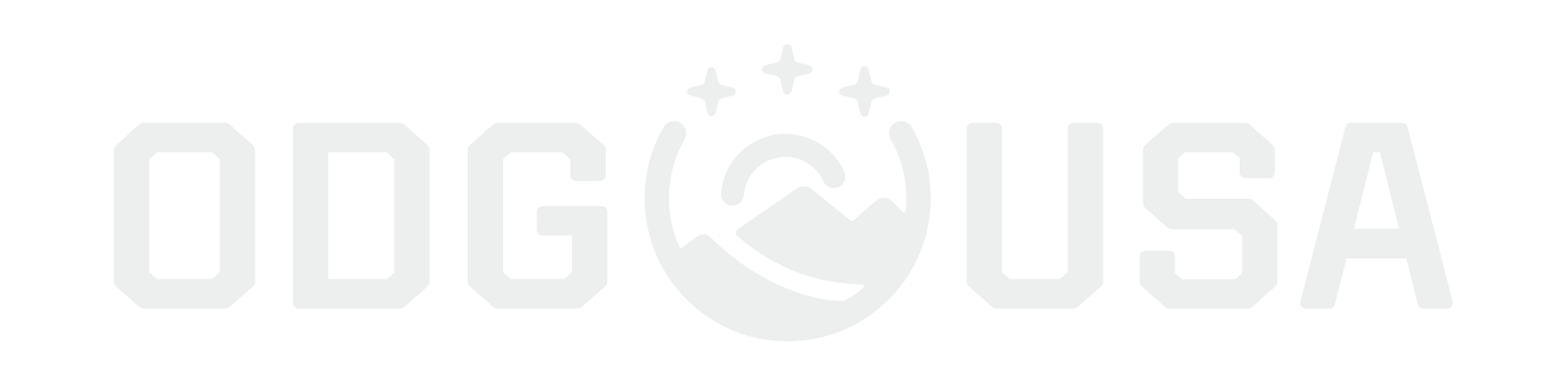 Orion Design Group